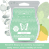 Just Breathe Scentsy Bar