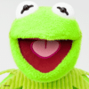 Kermit The Frog Scentsy Buddy 3