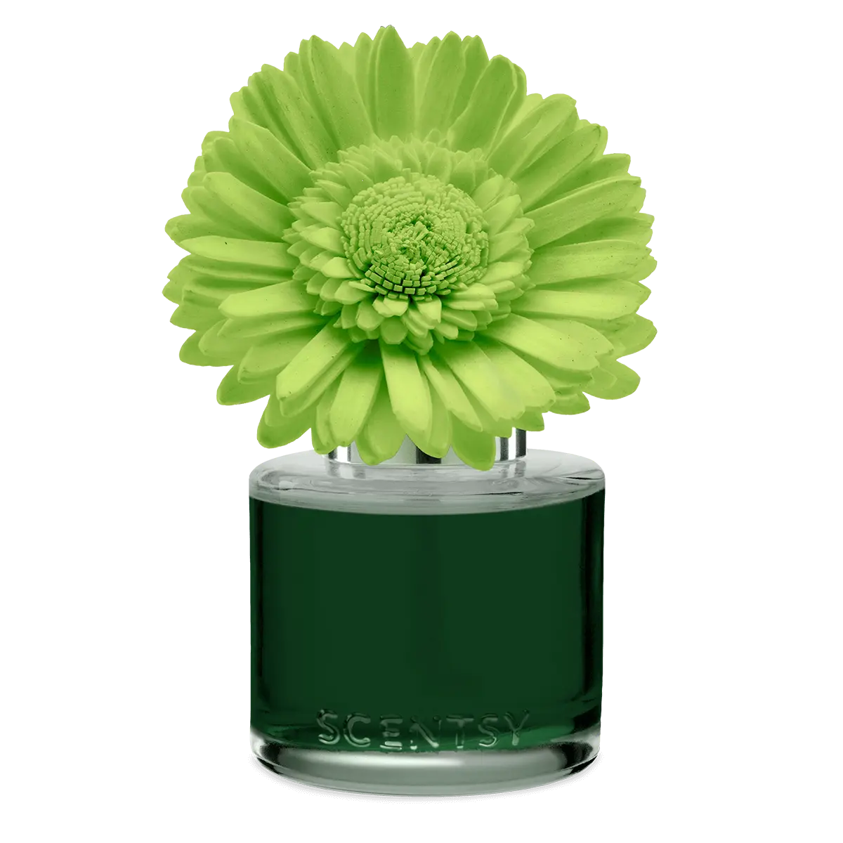 Key Lime & Grapefruit Dainty Daisy Scentsy Flower