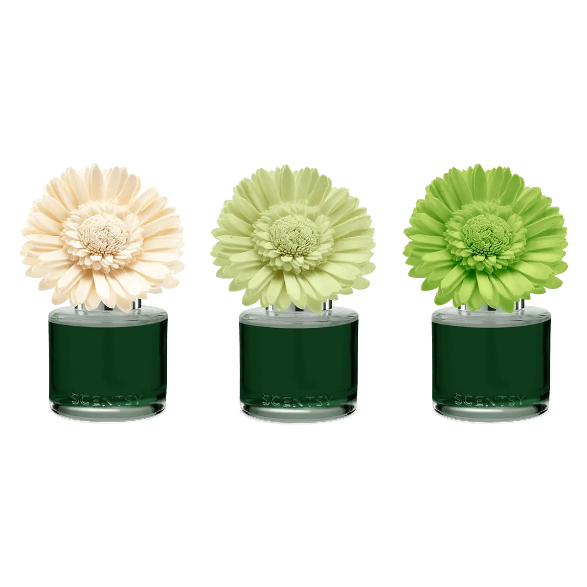 Key Lime & Grapefruit Dainty Daisy Scentsy Flower