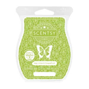 Key Lime & Grapefruit Scentsy Bar