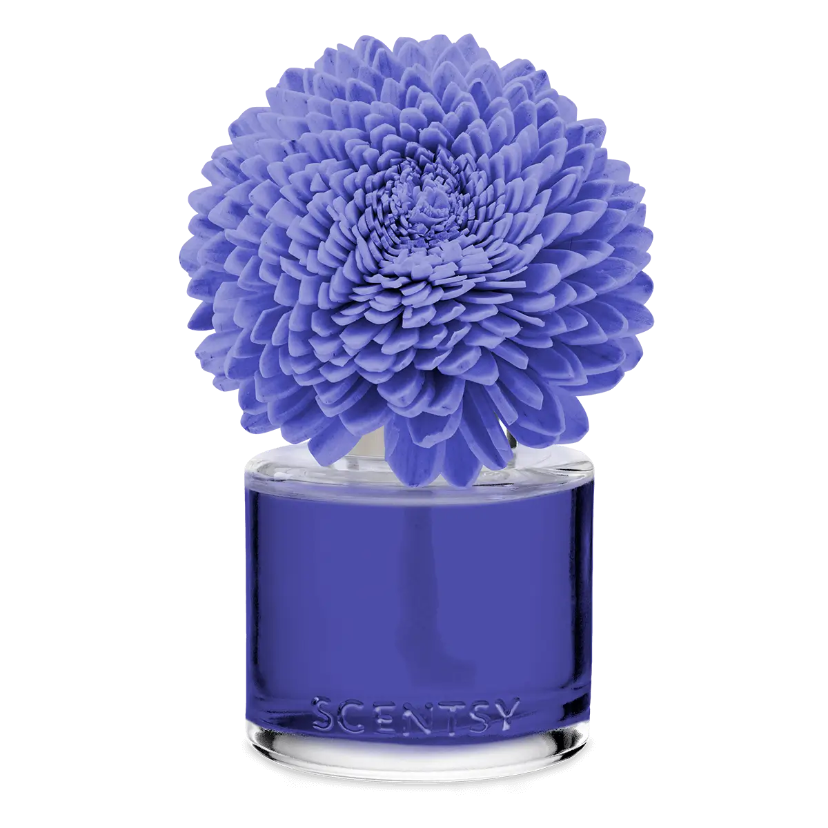 Kindness Zinnia Zen Scentsy Fragrance Flower