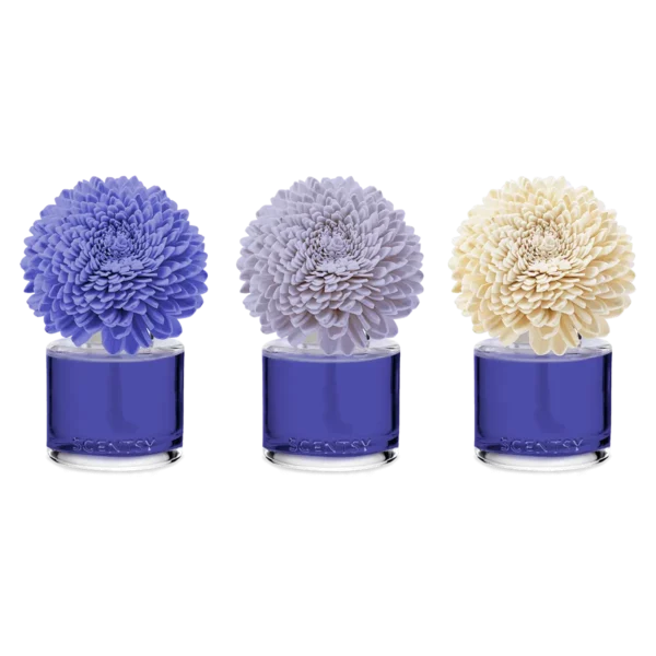 Kindness Zinnia Zen Scentsy Fragrance Flower