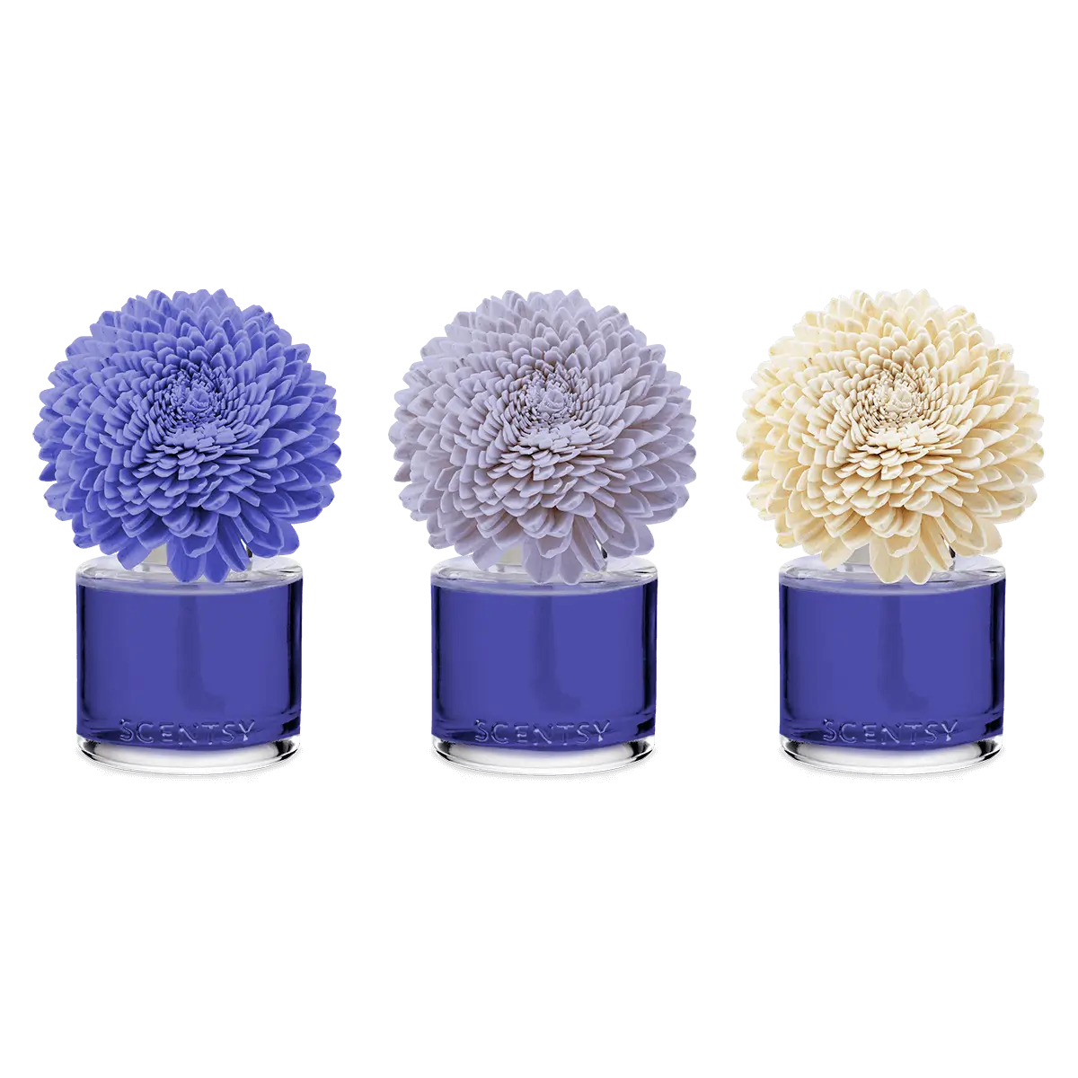 Kindness Zinnia Zen Scentsy Fragrance Flower