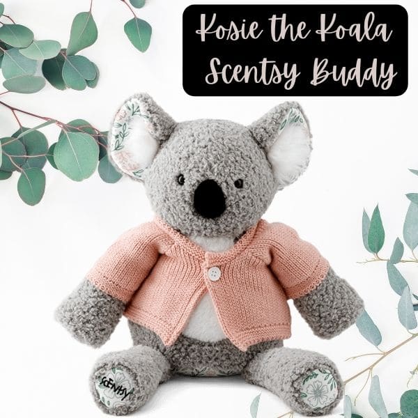 Kosie the Koala Scentsy Buddy