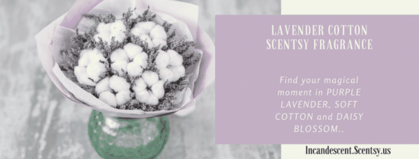 Lavender Cotton Scentsy Scent Circle