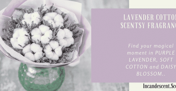 Lavender Cotton Scentsy Scent Circle