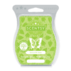 LEMON VERBENA SCENTSY BAR