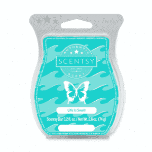 LIFE IS SWELL SCENTSY BAR