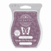 LILACS VIOLETS SCENTSY BAR