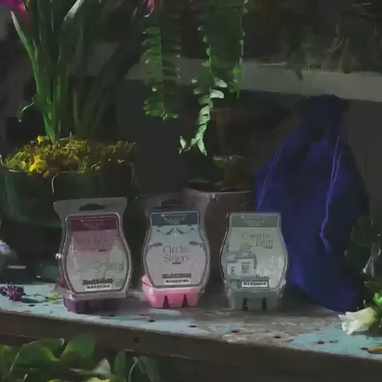 Scentsy X Practical Magic Wax Collection (2026) Available On August 24 Scentsy X Practical Magic Wax Collection (2026) available on August 24