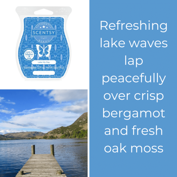 Lake my Day Scentsy Bar