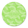 MAD FOR MELON SCENTSY SCENT CIRCLE