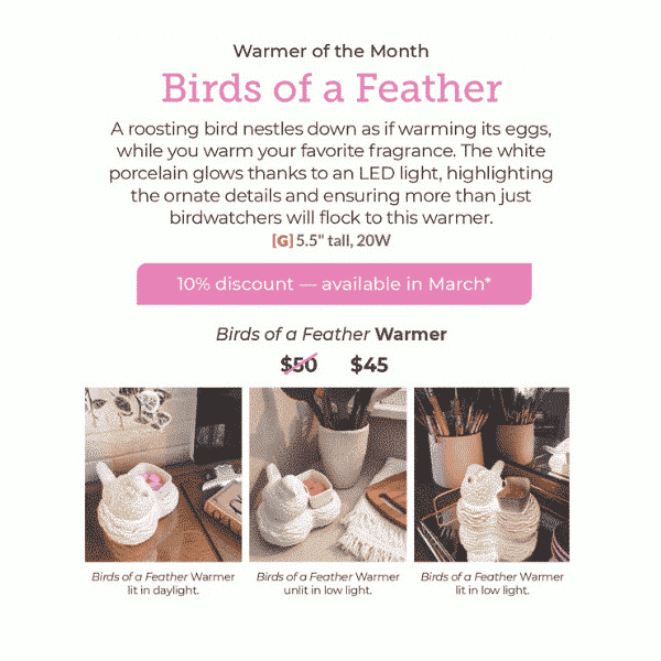 MARCH 2021 SCENTSY WAMRER OF THE MONTH BIRDS OF A FEATHER SPRING