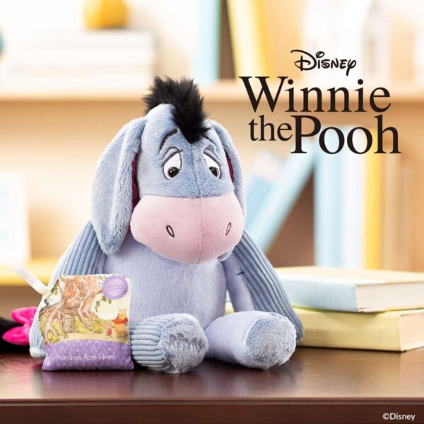 Adding 2lb of weight & a custom scent to my adorable Eeyore! First