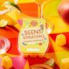 Mango Margarita Scentsy Bar | Scentsy Scent-Spirations
