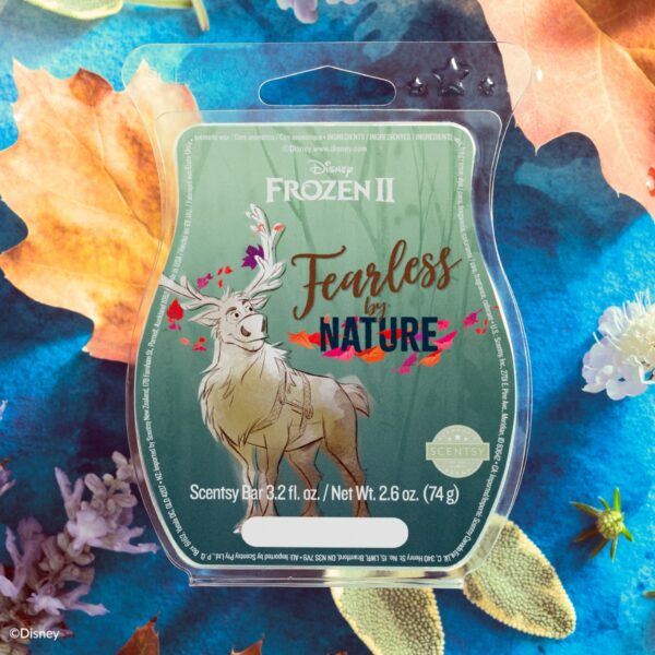 FEARLESS BY NATURE SCENTSY BAR FROZEN 2