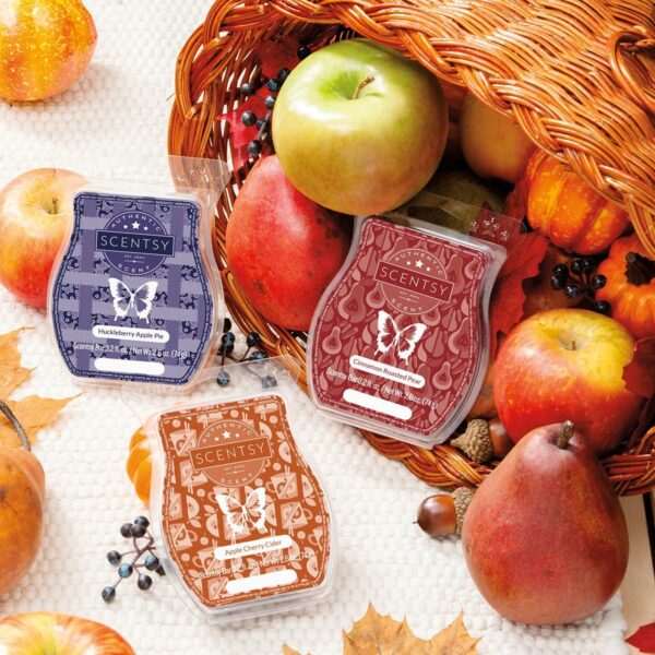 SCENTSY HARVEST DELIGHTS WAX COLLECTION