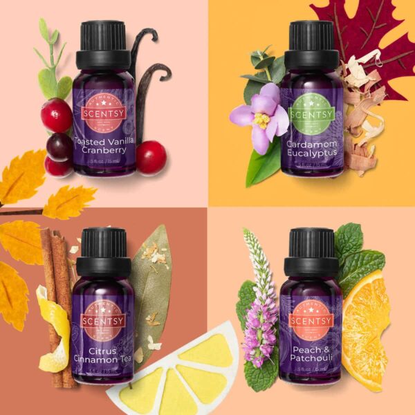 MT SCENT Oils R13MX FW22