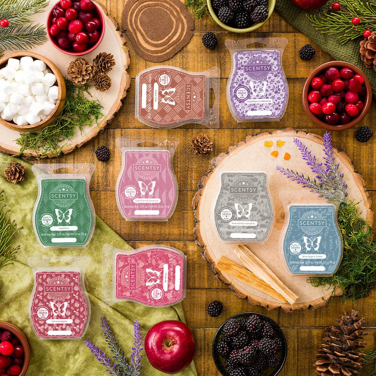 NEW! Scentsy Fall Winter 2022 Catalog Shop Now Incandescent.Scentsy.us