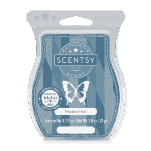 MYSTERY MAN SCENTSY BAR