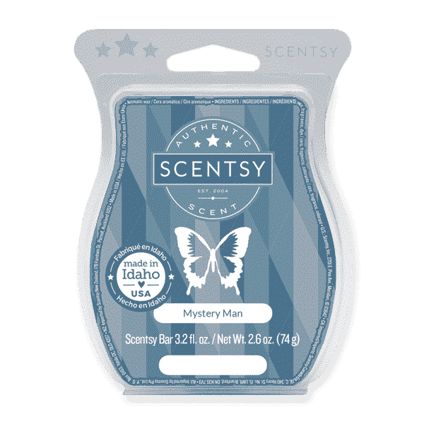 MYSTERY MAN SCENTSY BAR