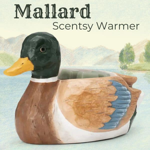 Mallard Duck Scentsy Warmer