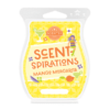 Mango Margarita Scentsy Bar