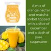 Mango Matcha Scentsy Scent Circle