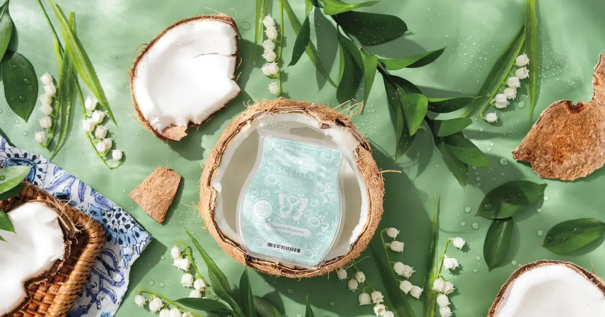 Scentsy May 2025 Warmer Of The Month | Butterfly Wings + Coconut Blossoms Scentsy May 2025 Warmer of the Month | Butterfly Wings + Coconut Blossoms
