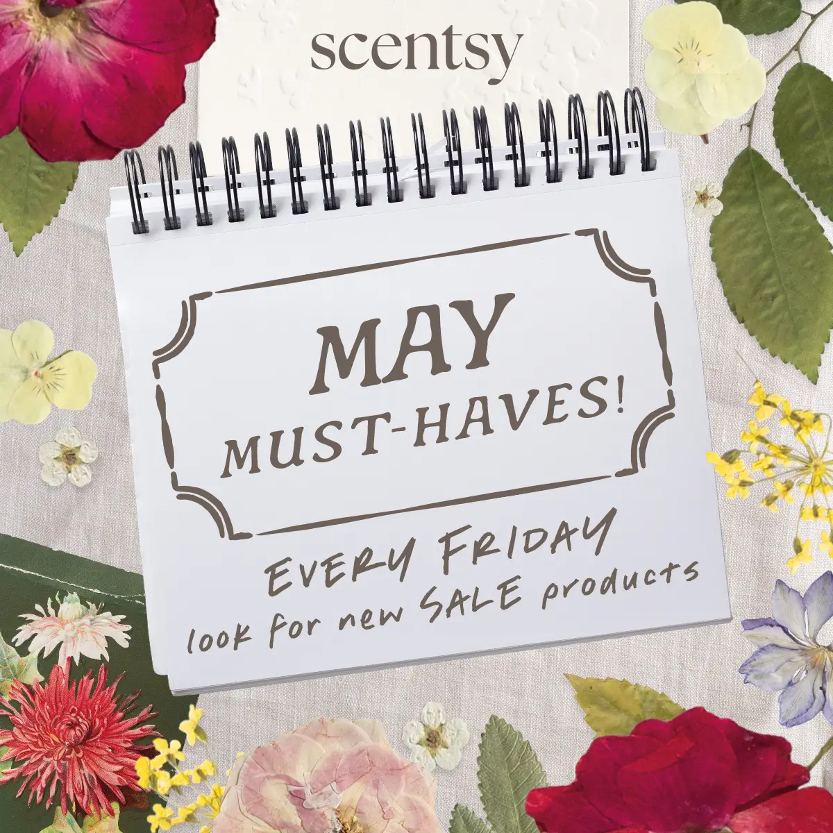 Scentsy May 2026 Friday Flash Sale Drops Scentsy May 2026 Friday Flash Sale Drops