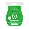 Meet at the Mistletoe Scentsy Bar | December 2023