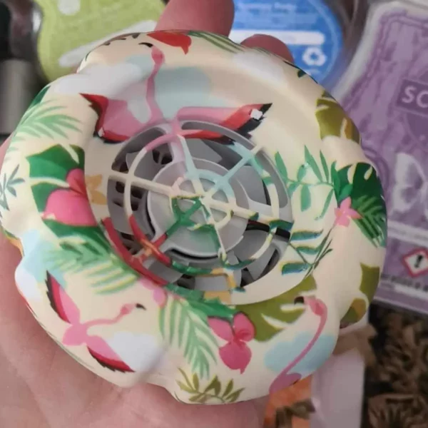 Scentsy Whiff Box June 2024
