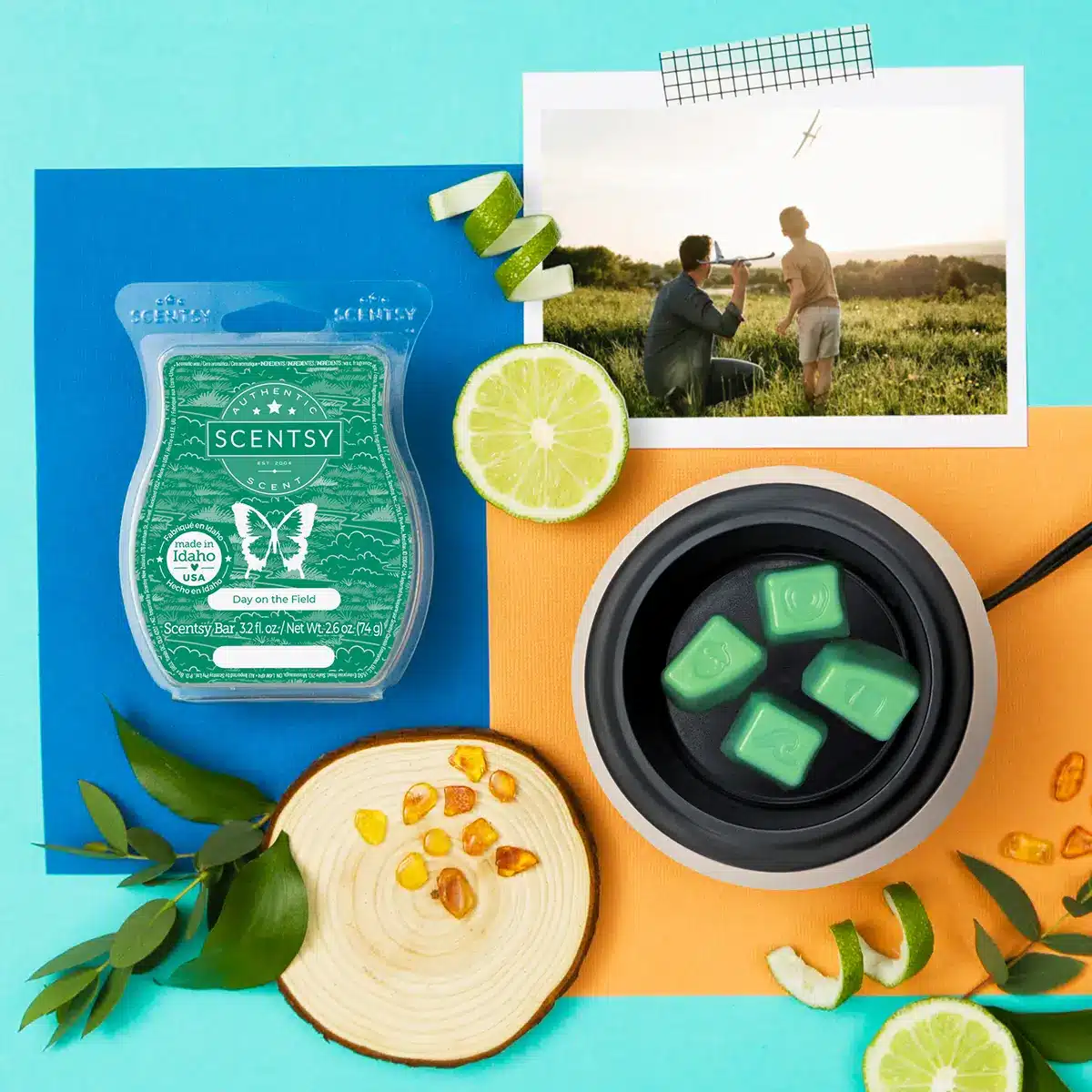 Scentsy 2024 Father's Day Collection