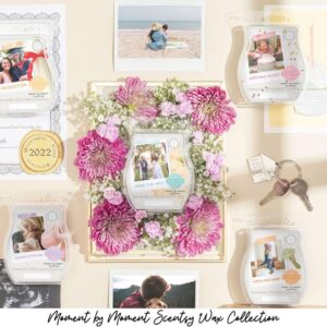 Moment by Moment Scentsy Wax Collection