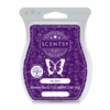 My Wish Scentsy Bar | Incandescent.Scentsy.us