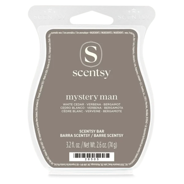 Mystery Man Scentsy Bar Mystery Man Scentsy Wax Bar