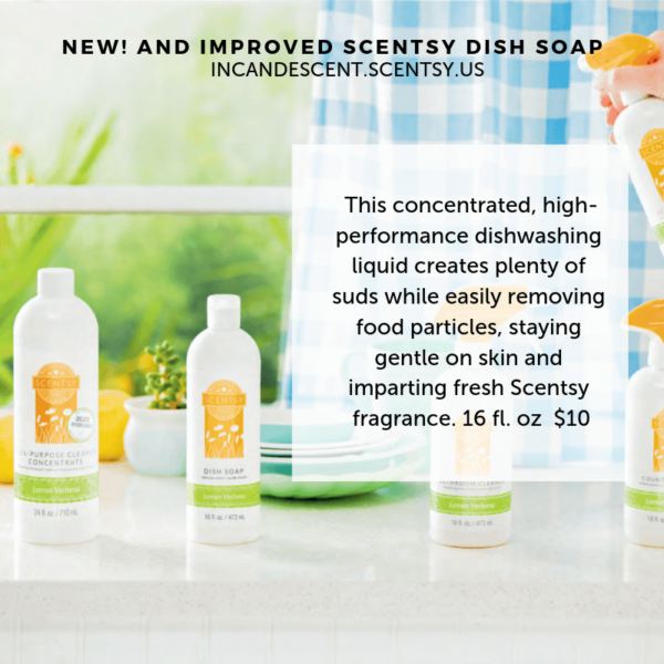 NEW SCENTSY DISH SOAP 2019 INCANDESCENT.SCENTSY.US