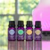 NEW SCENTSY OILS FALL 2020