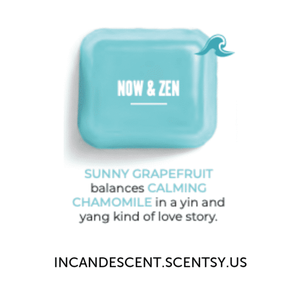 Now and Zen Scentsy Bar