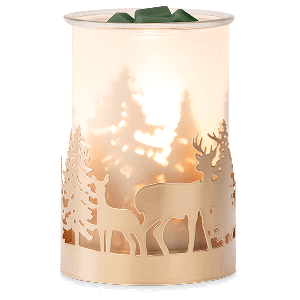 Natures Wonders Scentsy Warmer 1