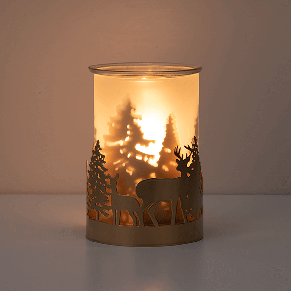 Natures Wonders Scentsy Warmer 3