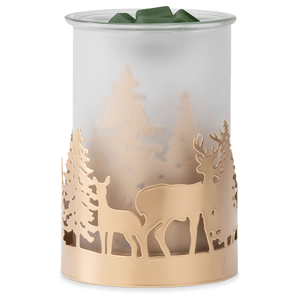 Natures Wonders Scentsy Warmer 5