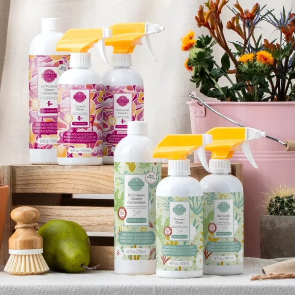 White Tea & Cactus Scentsy Clean Bundle
