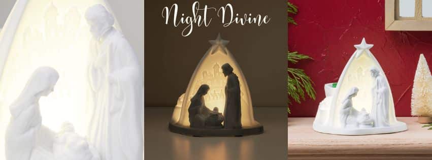 Night Divine Scentsy Warmer 1