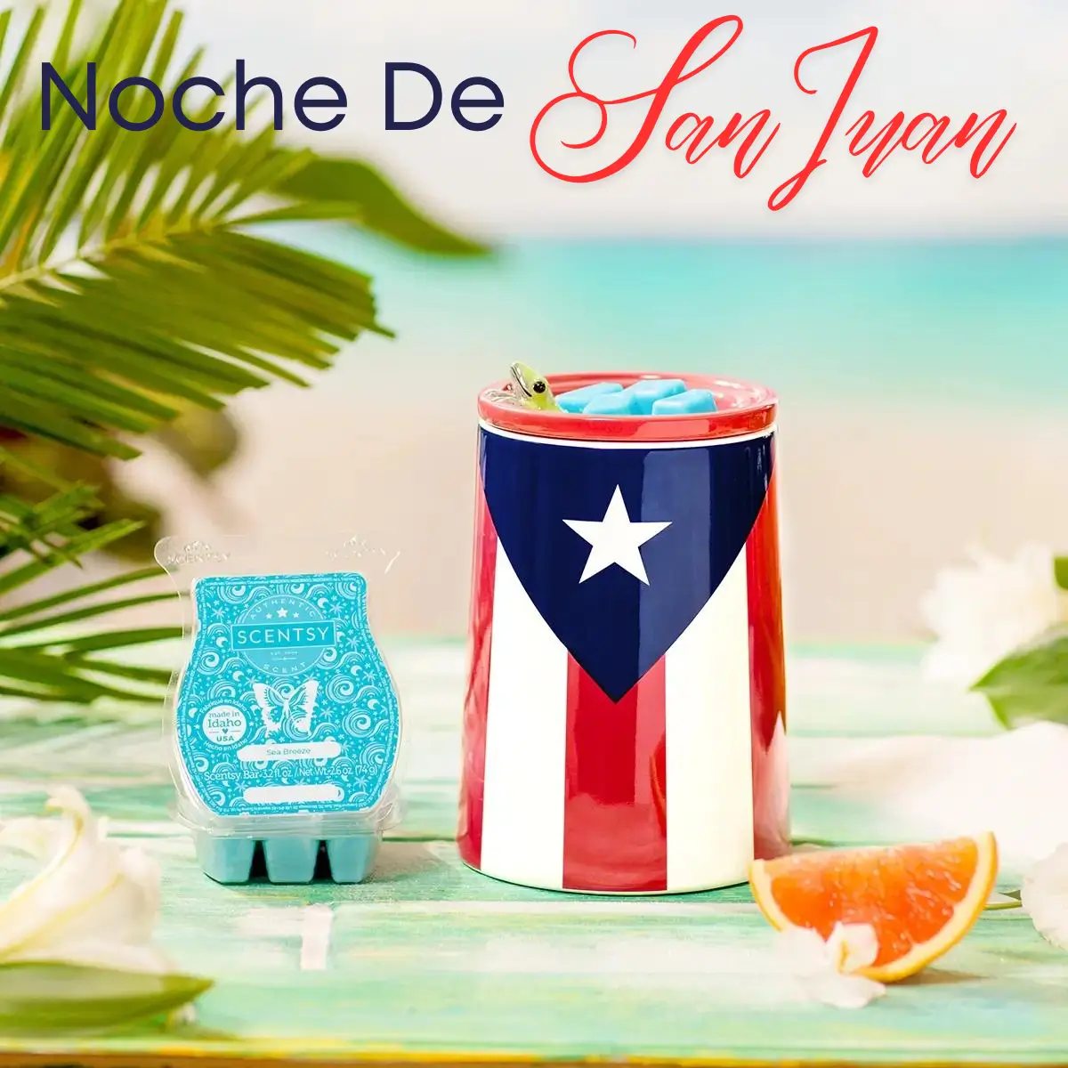 Scentsy Noche De San Juan Collection | Shop May 28, 2024