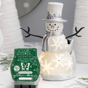 November 2022 Warmer Scent of the Month Scentsy