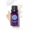 OCEAN MIST AND ALOE SCENTSY OIL