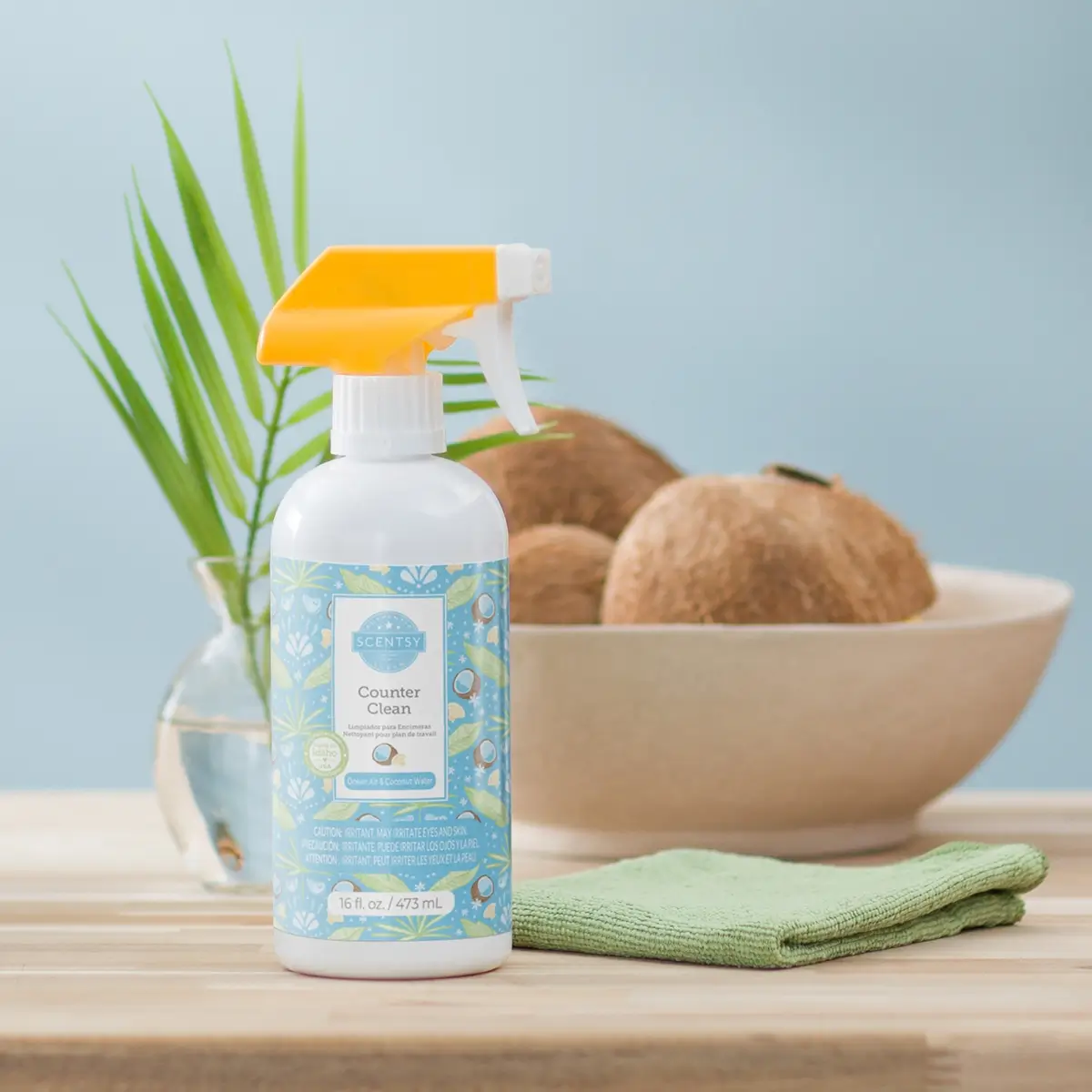 Ocean Air & Coconut Water Scentsy Counter Clean