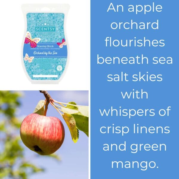 Orchard By the Sea Scentsy Brick